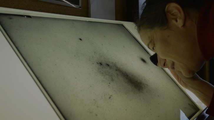 A woman examining an original photographic negative with the help of a light board and a loop. The negative is of the Small Magellanic Cloud, containing millions of stars.