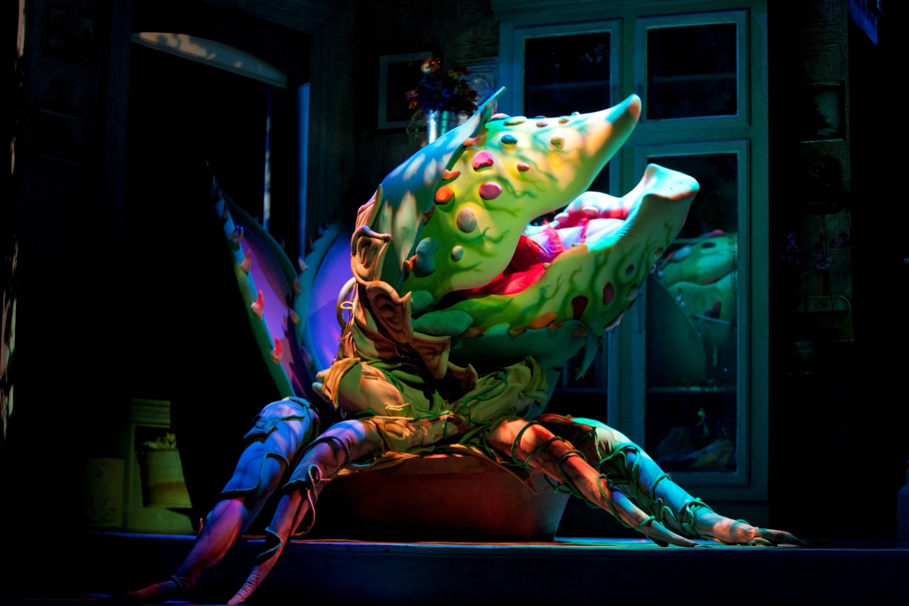 Little Shop Of Horrors – Ford's Theatre